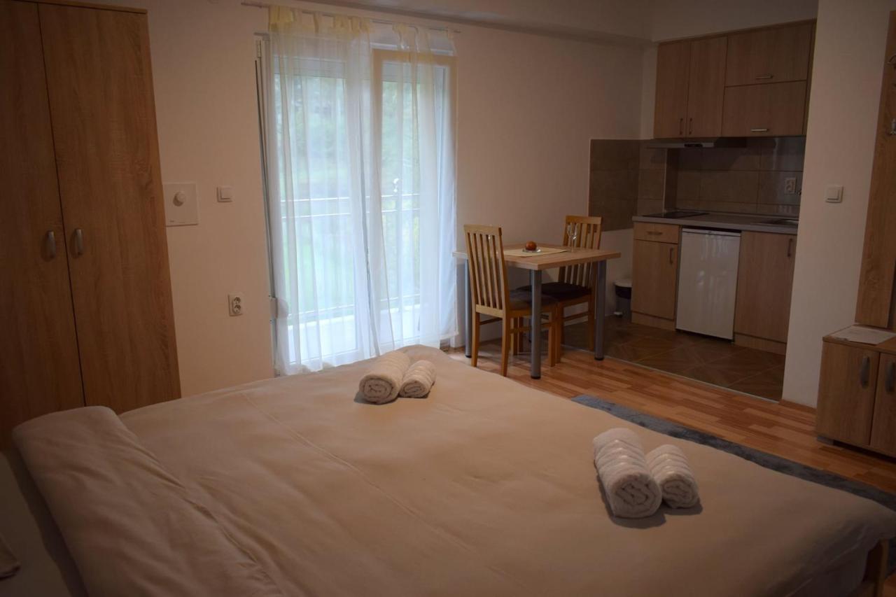 Apartmani & Spa Matin Breg Josanicka Banja エクステリア 写真